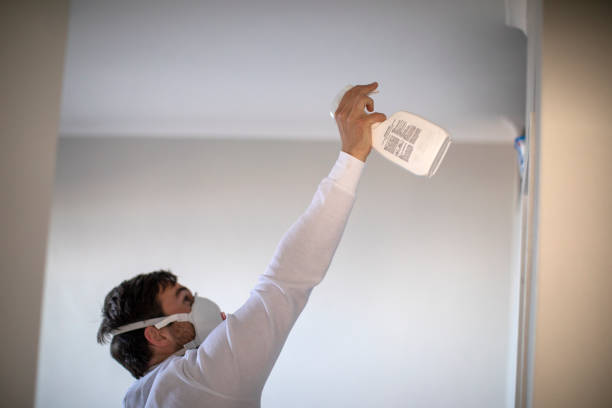 Trusted Westmont, PA Mold Removal Experts