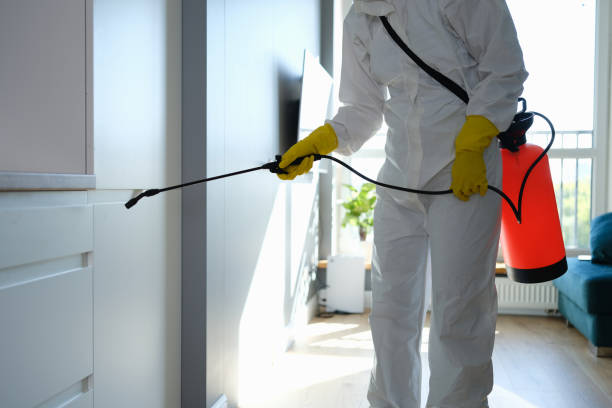 Best Mold Damage Repair  in Westmont, PA